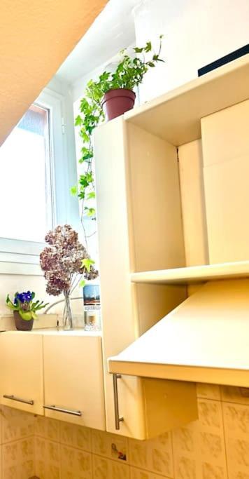 Apartamento Sky-view Flat In Centre